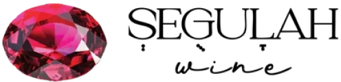 Faceted red gem emblem beside stylized text