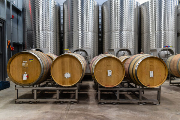 Wine barrels in front of steel fermentation tanks